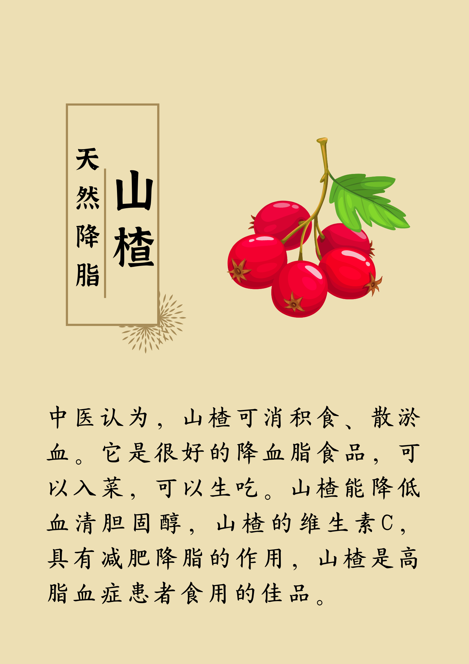 藥補(bǔ)不如食補(bǔ)：有19種“天然養(yǎng)生食材”，建議您收藏(圖9)