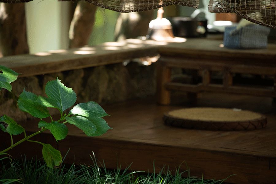 回歸中國最初的美(圖16) 回歸中國最初的美(圖16)