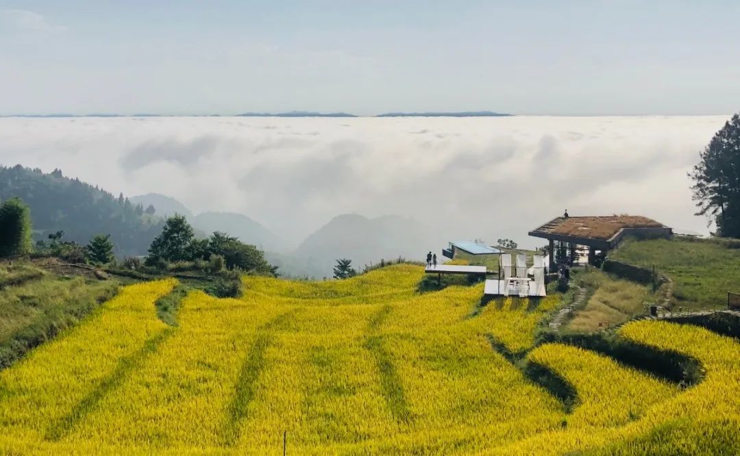 史上罕見“黃金周”，文旅冰火兩重天(圖2)