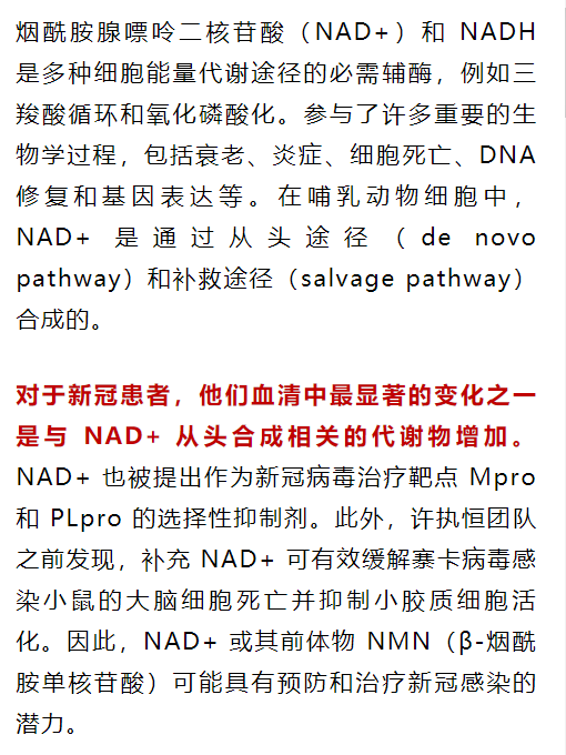 許執(zhí)恒、秦成峰、胡澤平醫(yī)學(xué)團(tuán)隊(duì)研究表明：NAD+/NMN可治療新冠病毒(圖1)