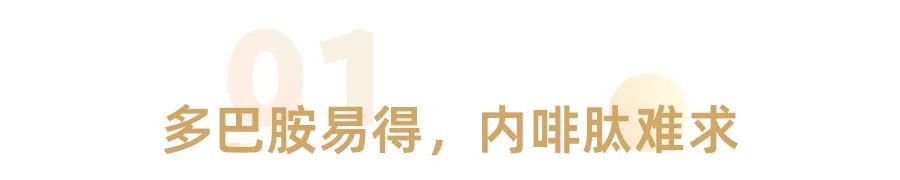 少年只知多巴胺，中年才懂內(nèi)啡肽(圖1)