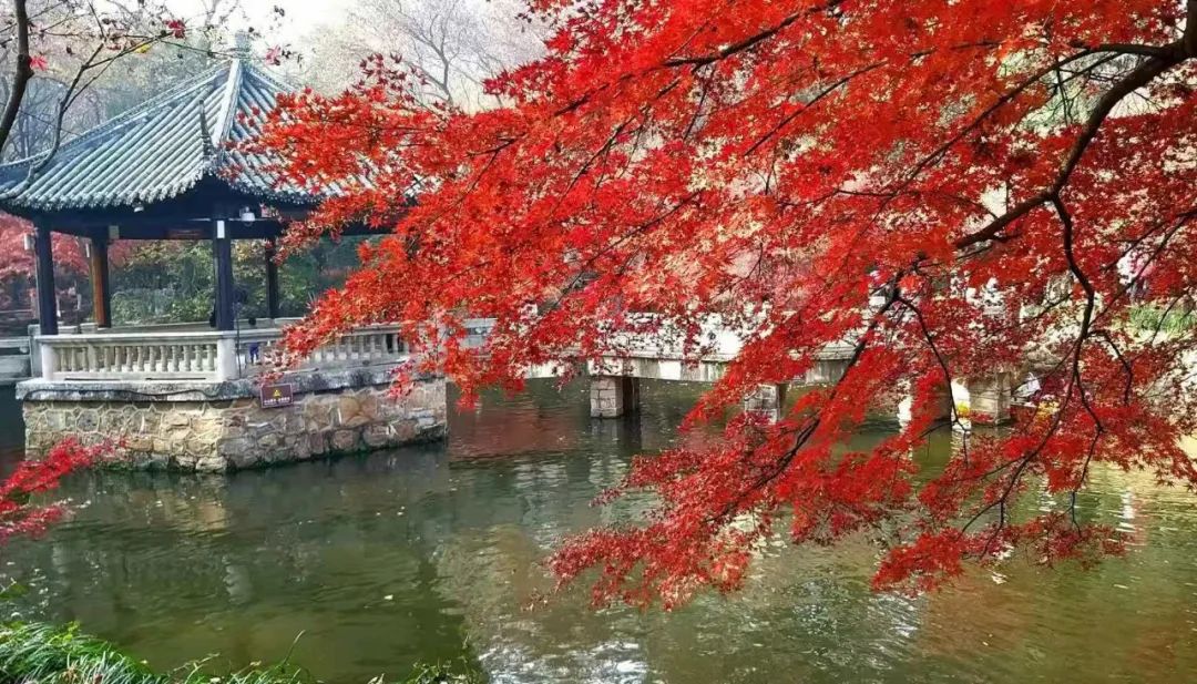 疾病是假象，心態(tài)更重要(圖2)