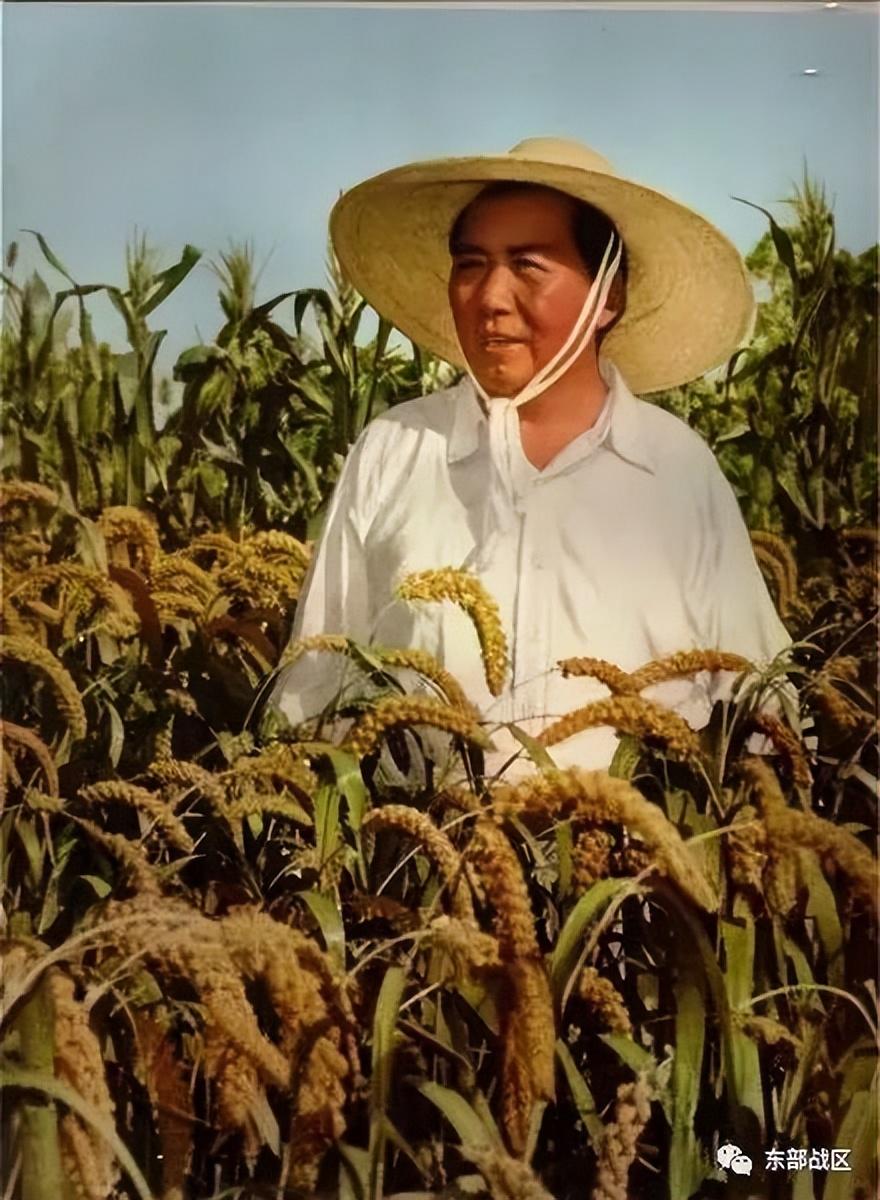 今天，我們一起緬懷敬愛的毛主席(圖19)