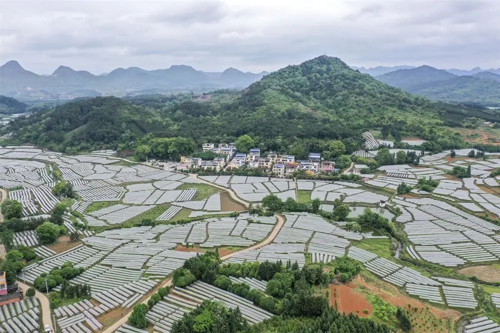 c7634b4c86592b75d411ddcf9d4a22b9.jpg 人民江山(圖4)