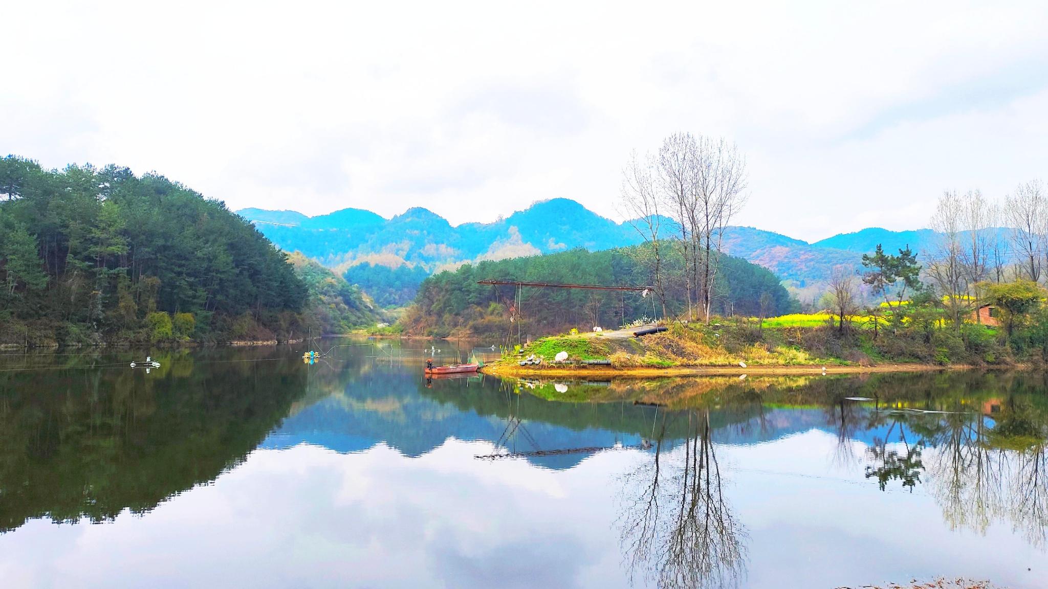 勉縣油菜花海美景驚艷上線(圖1)