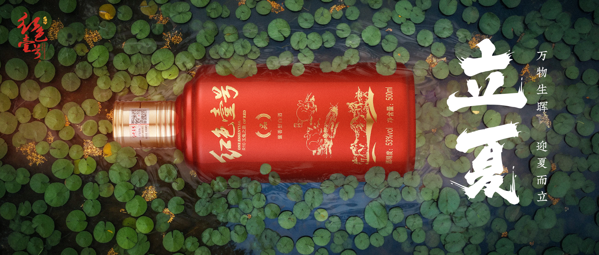 0754cb899a446eee33173eba206702e.jpg 立夏怎么吃(圖1)