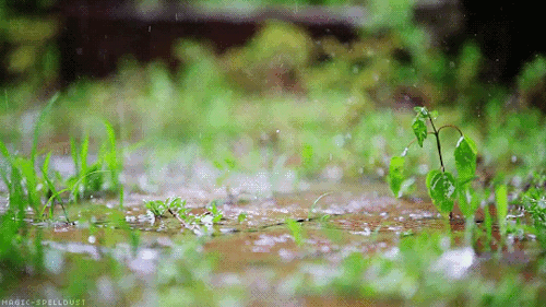 雷雨云團過境，北京天空現(xiàn)壯觀弧狀云(圖8)