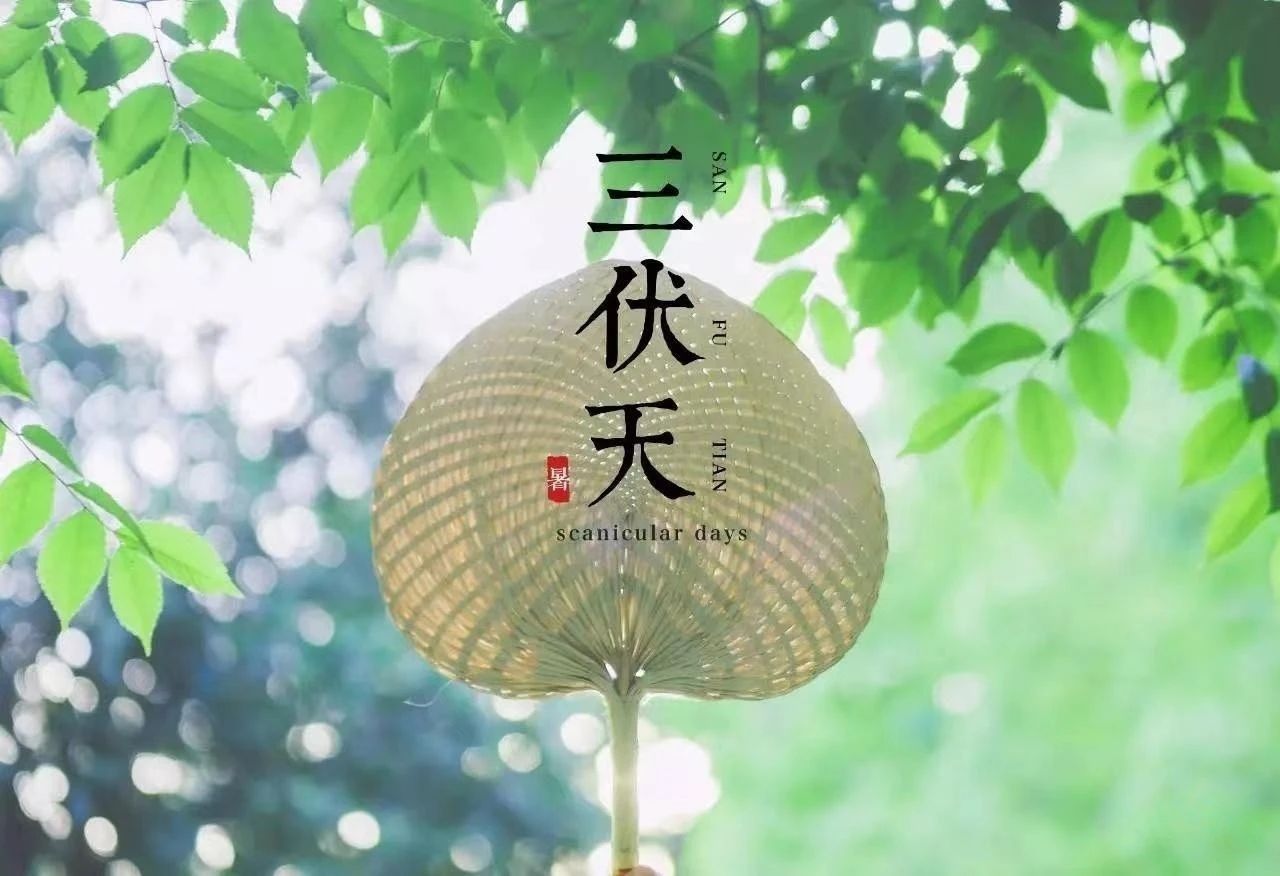 “入伏三不做，一年病不沾”，7月11日入伏，3不做分別指什么？(圖1)