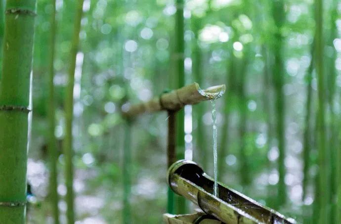后半生最好的活法：一半在藏，一半在露(圖3)