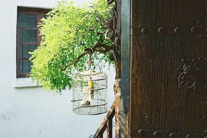 后半生最好的活法：一半在藏，一半在露(圖6)