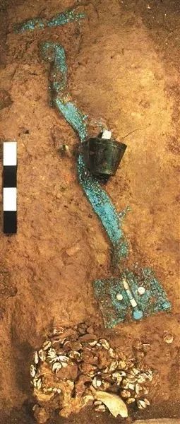河南出土3700年前的“綠龍”，真正的“中國龍”(圖3)