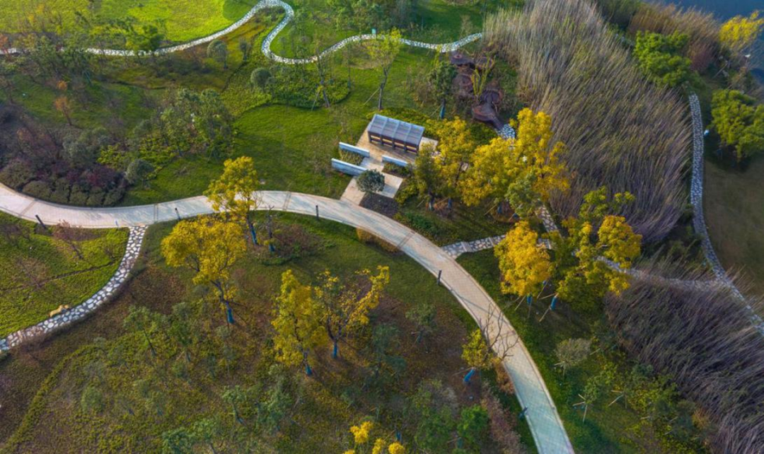 中國五冶集團(tuán) 以建造之力為大運會留下時代作品(圖4)
