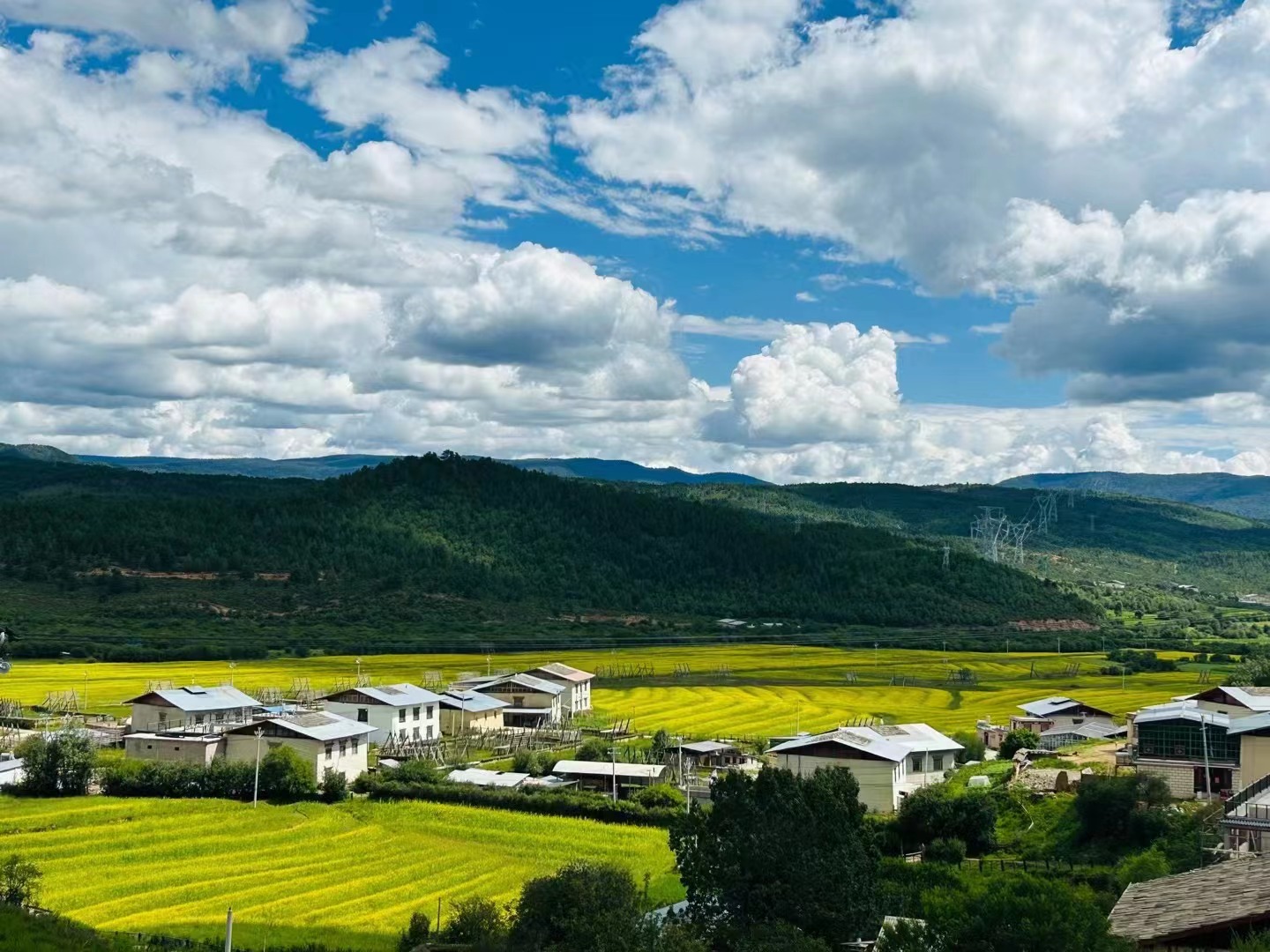 夏天的青藏高原，美景宛如歐洲(圖1)