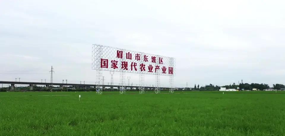 時(shí)政新聞眼丨習(xí)近平赴四川陜西考察，足跡之中飽含深意(圖15)