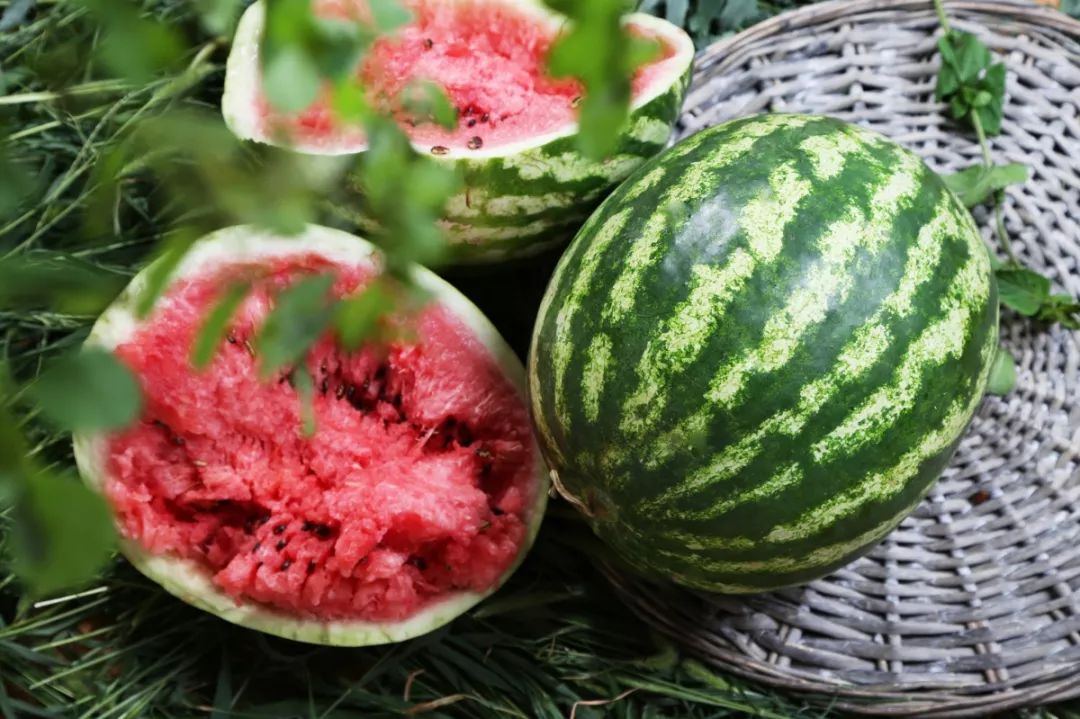 今年立秋“不一般”，三個特點不尋常！立秋養(yǎng)生(圖3)