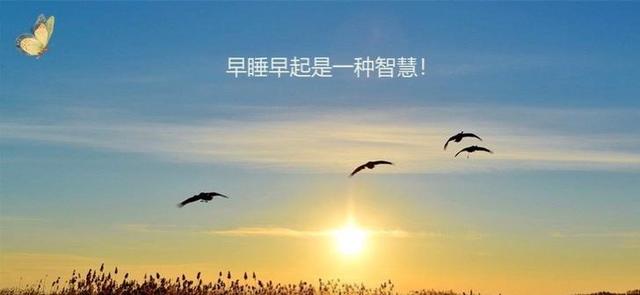今年立秋“不一般”，三個特點不尋常！立秋養(yǎng)生(圖9)