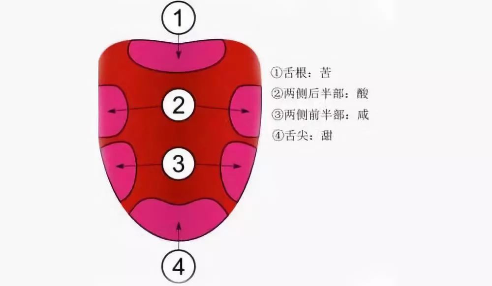 白酒喝起來有苦味，究竟是什么原因？(圖9)