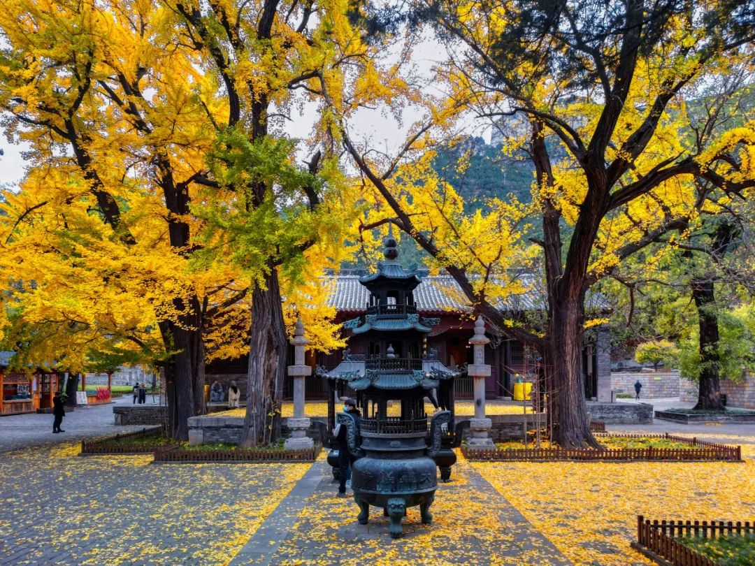 古今最深情的秋日詩，入選小學(xué)課本，看到結(jié)尾打動無數(shù)人(圖1)