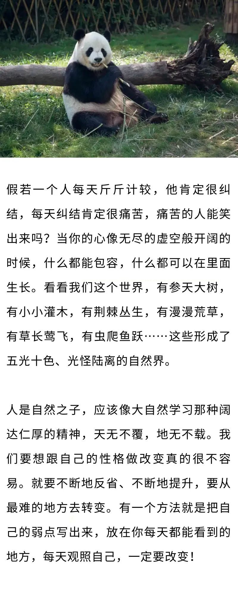 不計(jì)較，才是真正的愛自己(圖1)