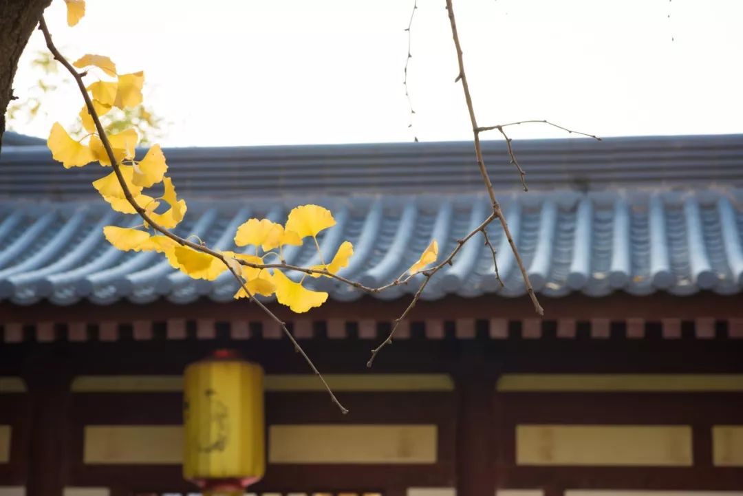 蘇軾：青年時看遠(yuǎn)，中年時看開，老年時看淡(圖4)