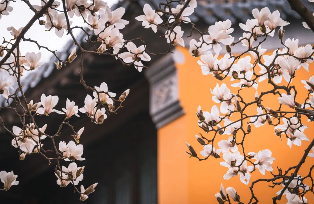 蘇軾：青年時看遠(yuǎn)，中年時看開，老年時看淡(圖6)