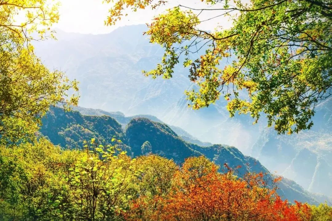 毛澤東詩詞里的秋天，大氣磅礴，何等壯美！(圖3)