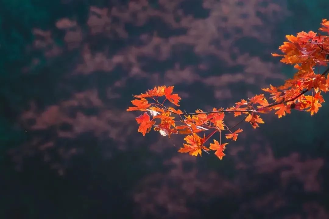 毛澤東詩詞里的秋天，大氣磅礴，何等壯美！(圖4)