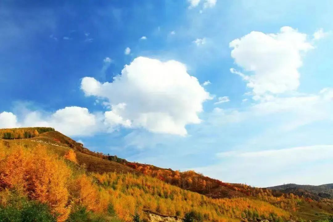 毛澤東詩詞里的秋天，大氣磅礴，何等壯美！(圖5)