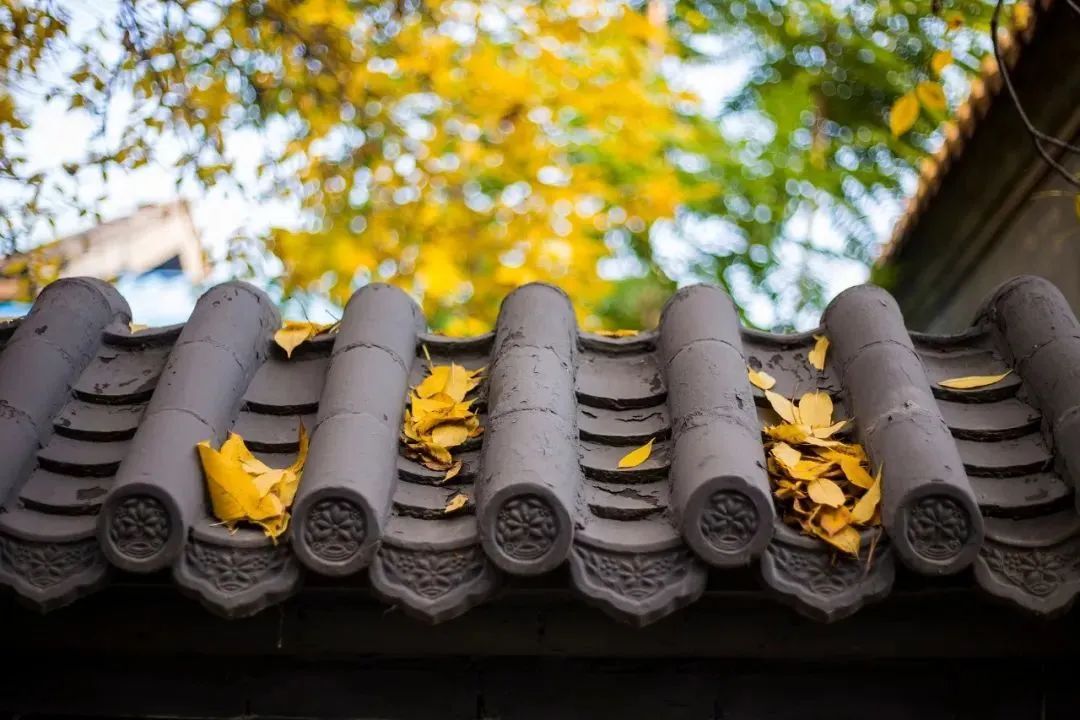 今日秋分，寒氣漸重，這幾個(gè)養(yǎng)生宜忌，你一定要知道(圖2)