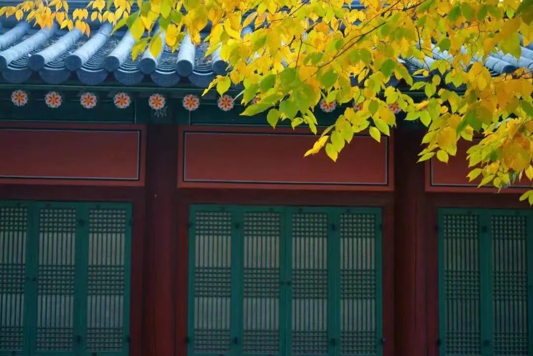 毛澤東詩詞里的秋天，大氣磅礴，何等壯美！(圖8)