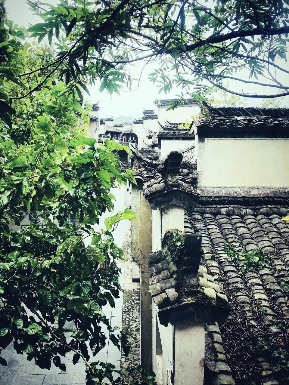 中國最美的50個古村鎮(zhèn)，美到極致！(圖26)