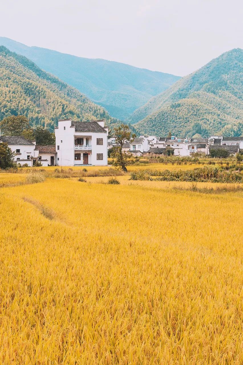 中國最美的50個古村鎮(zhèn)，美到極致！(圖28)