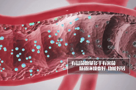 43萬人追蹤研究：主食吃得少，壽命長不了(圖2)