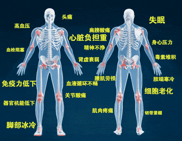 秋之時(shí)節(jié)，養(yǎng)生健脾，護(hù)陽氣(圖4)