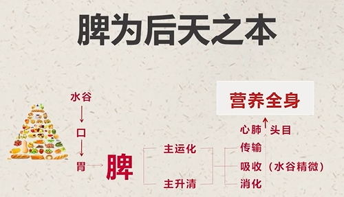 秋之時(shí)節(jié)，養(yǎng)生健脾，護(hù)陽氣(圖3)