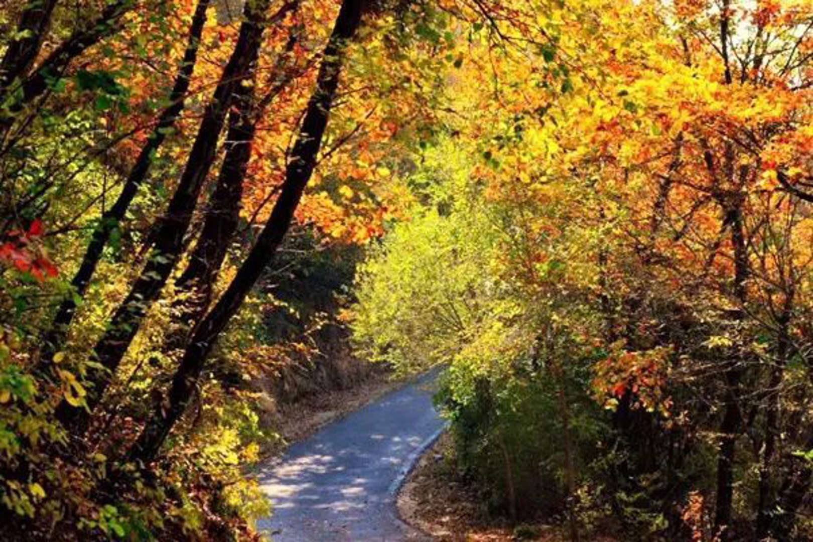 好美！襄垣仙堂山：紅葉滿山惹人“醉”(圖4)