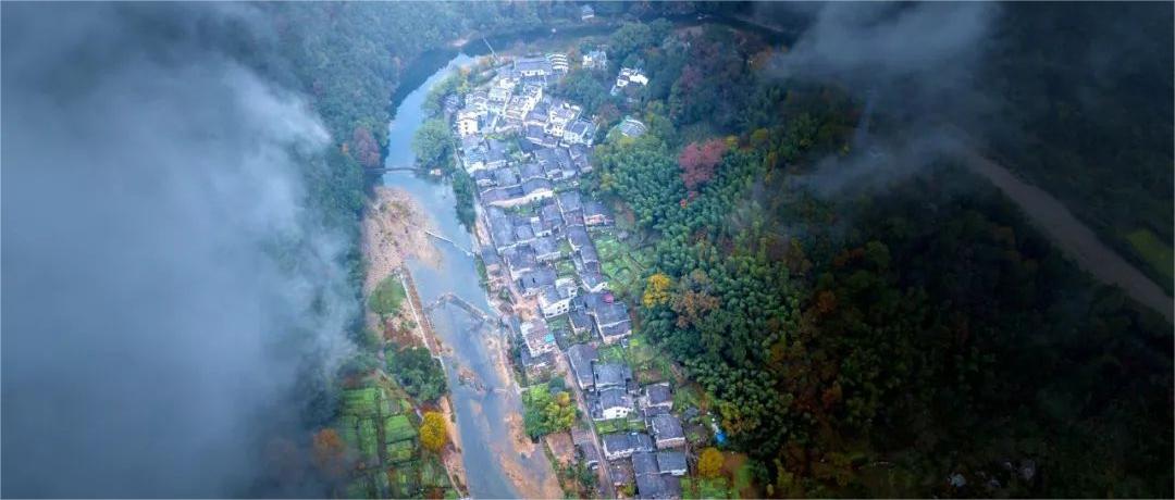 莫言：如果有人不喜歡你，記住三句話你就贏了(圖3)