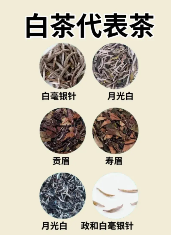 你會(huì)喝茶嗎？一文說(shuō)盡茶文化(圖5)