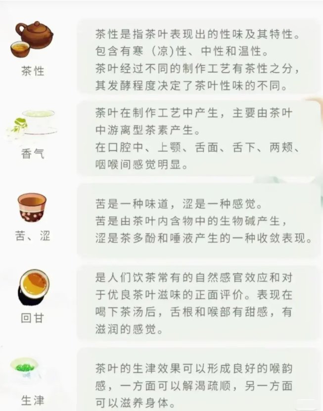 你會(huì)喝茶嗎？一文說(shuō)盡茶文化(圖26)