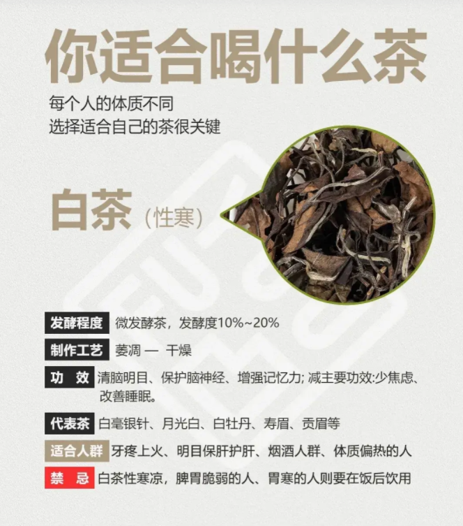 你會(huì)喝茶嗎？一文說(shuō)盡茶文化(圖19)