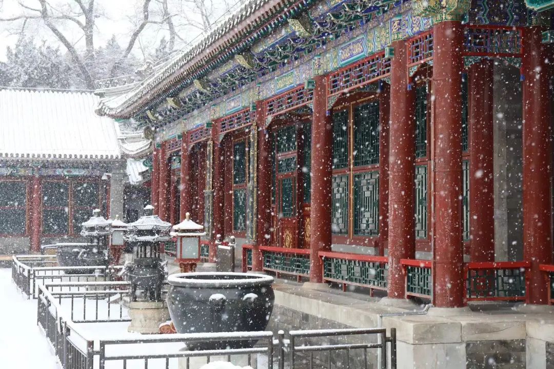 大雪節(jié)氣 | 北京市屬公園往年雪景合集(圖5)