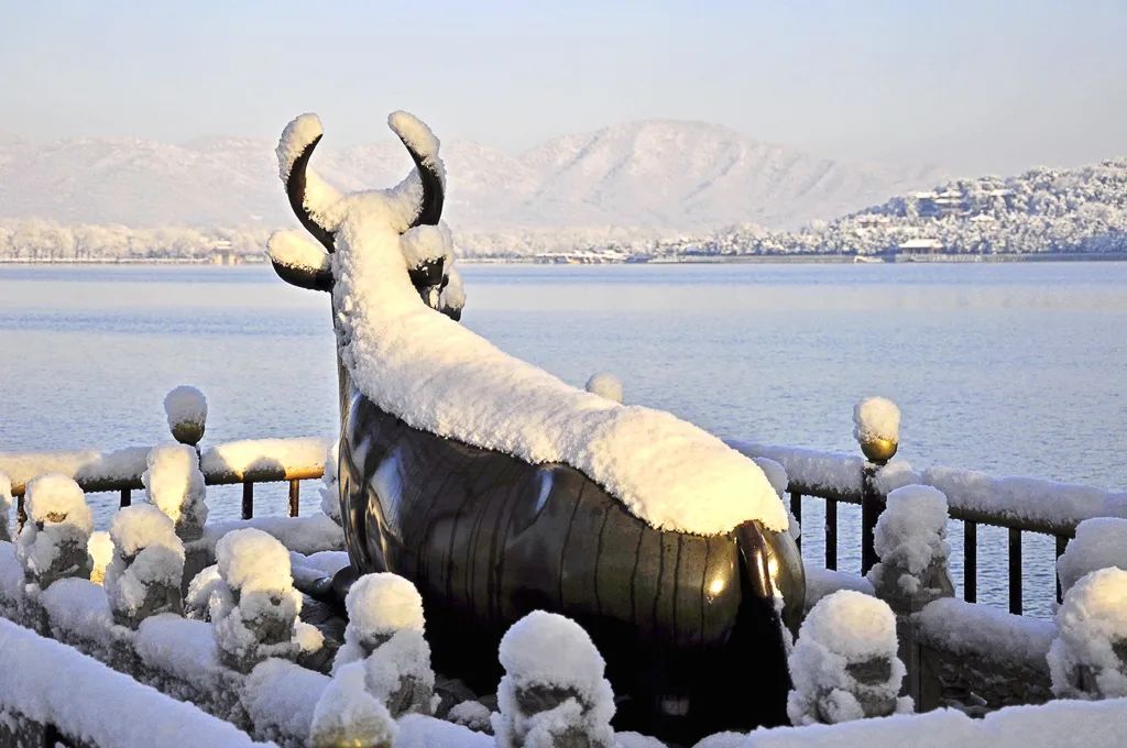 大雪節(jié)氣 | 北京市屬公園往年雪景合集(圖6)