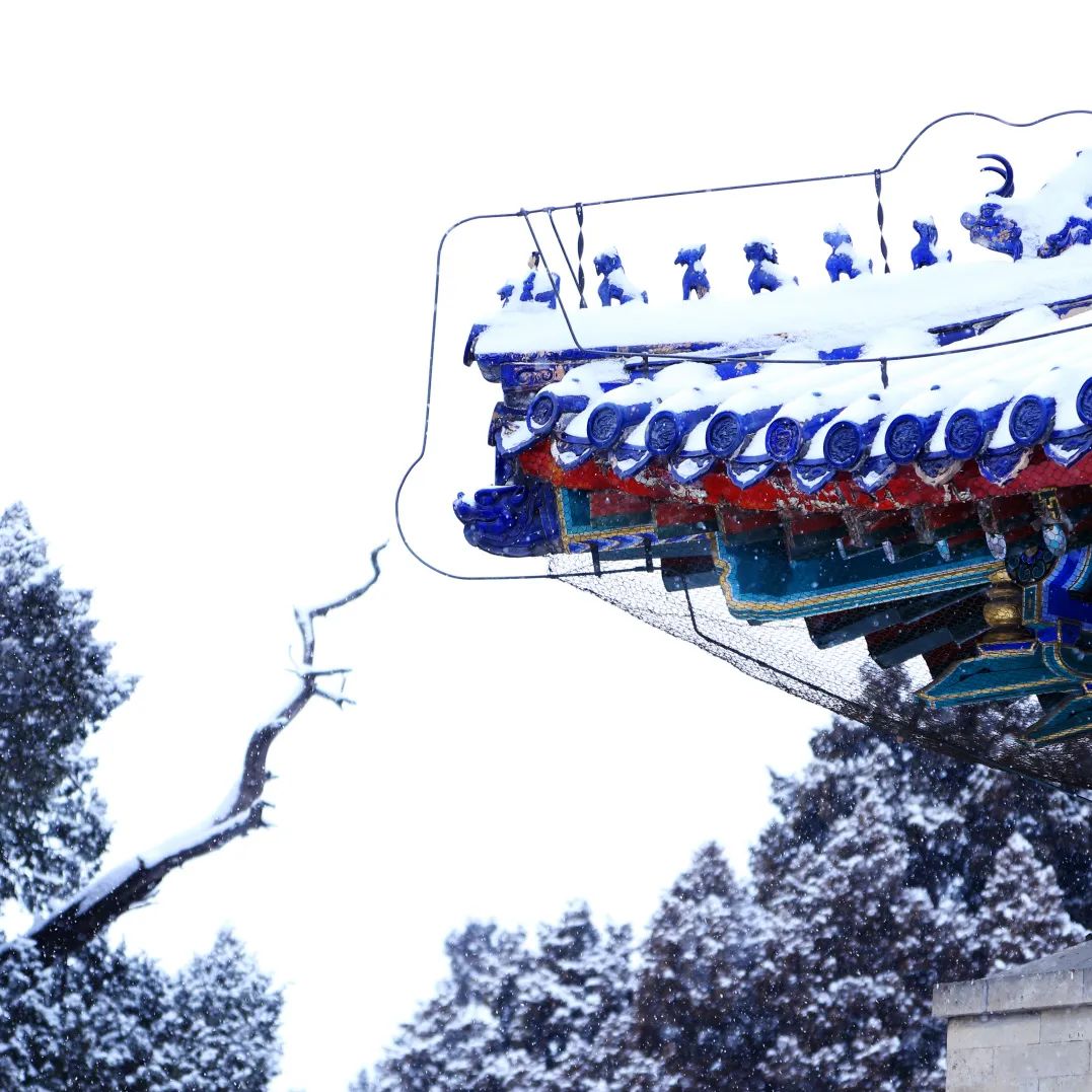大雪節(jié)氣 | 北京市屬公園往年雪景合集(圖8)