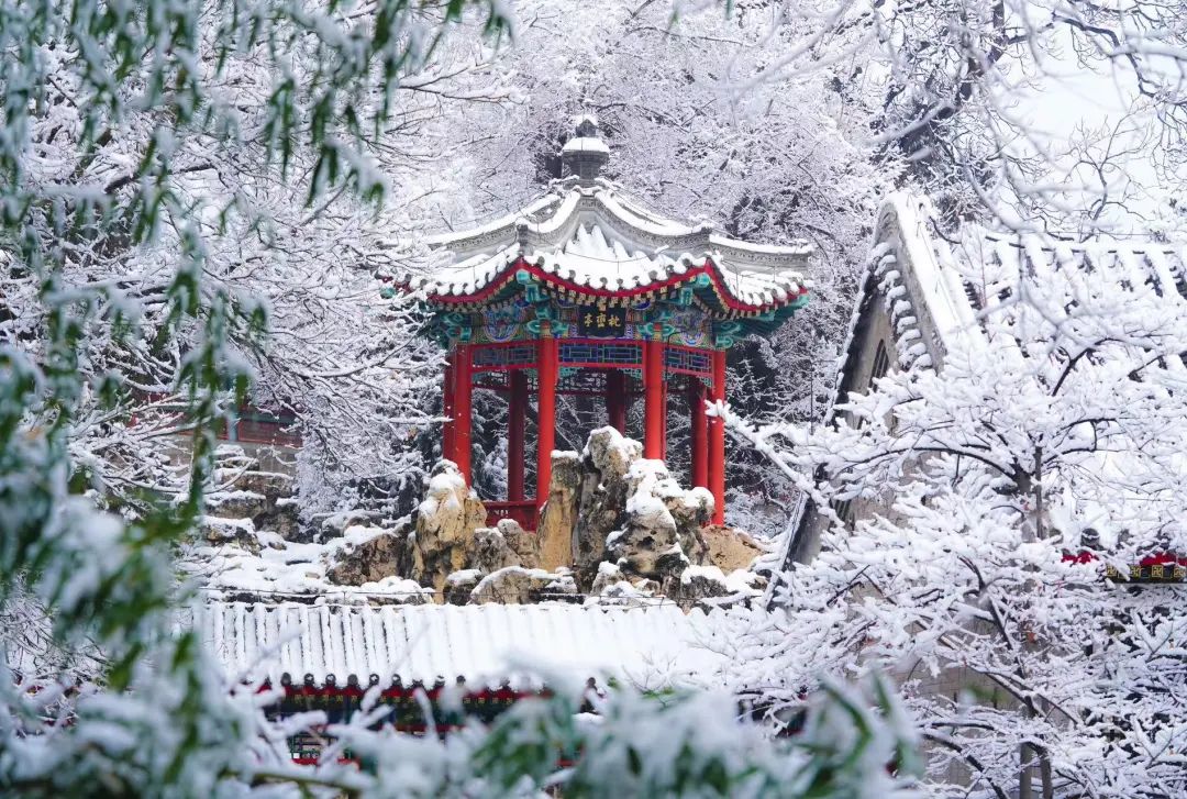 大雪節(jié)氣 | 北京市屬公園往年雪景合集(圖14)