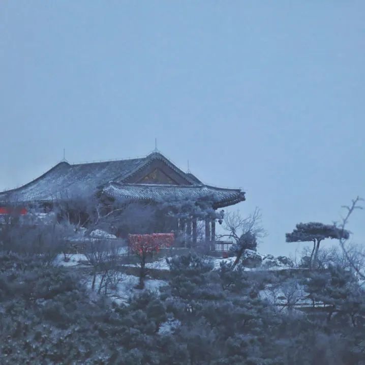 大雪節(jié)氣 | 北京市屬公園往年雪景合集(圖16)