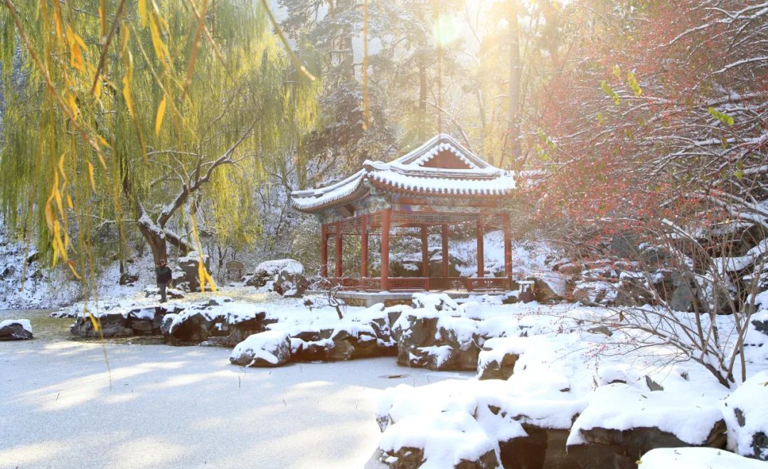 大雪節(jié)氣 | 北京市屬公園往年雪景合集(圖17)