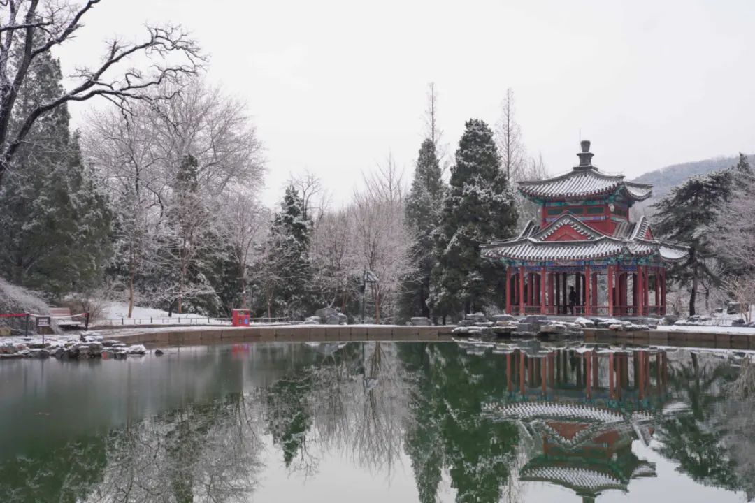 大雪節(jié)氣 | 北京市屬公園往年雪景合集(圖18)
