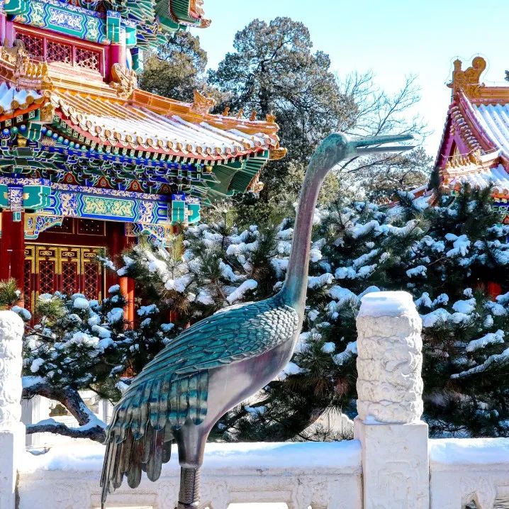 大雪節(jié)氣 | 北京市屬公園往年雪景合集(圖24)