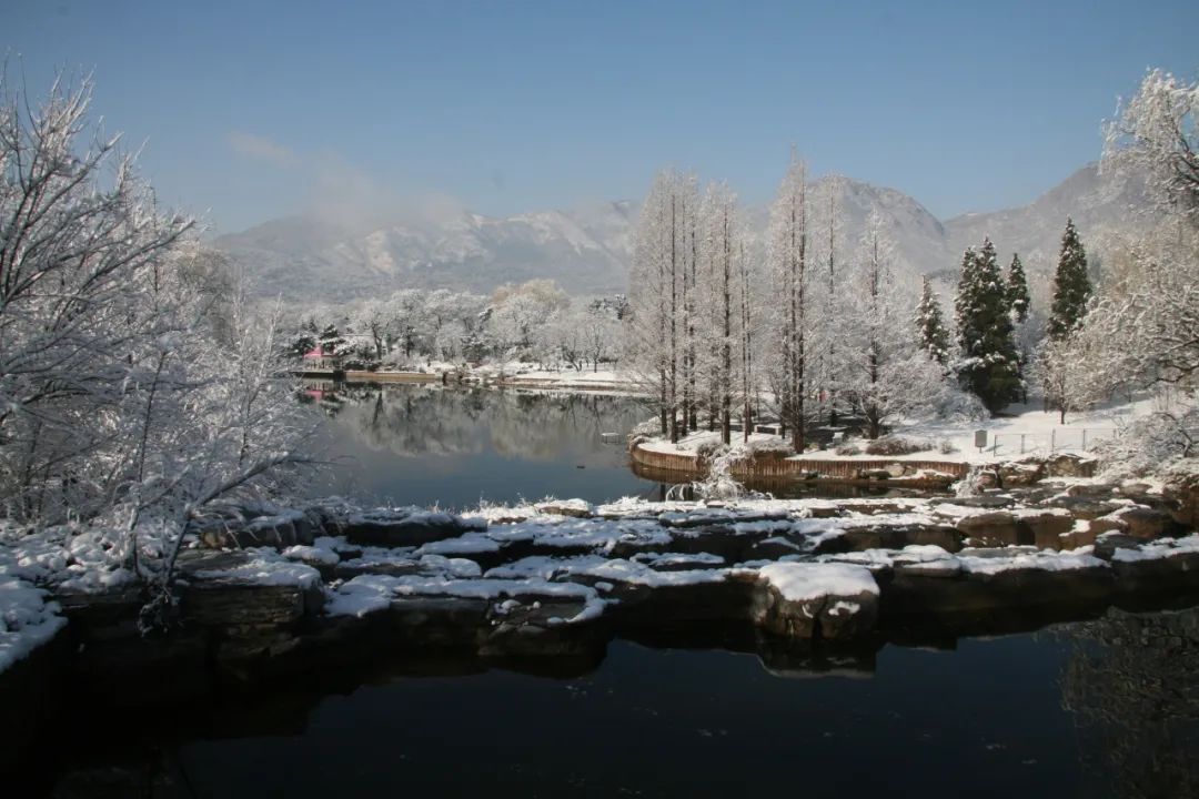 大雪節(jié)氣 | 北京市屬公園往年雪景合集(圖29)