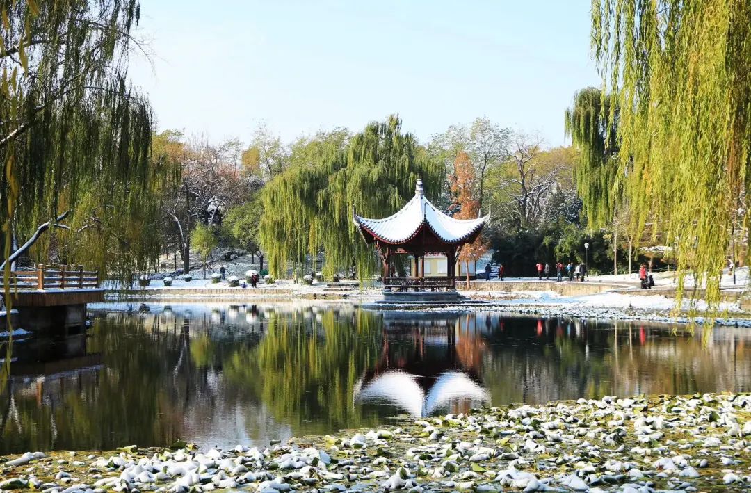 大雪節(jié)氣 | 北京市屬公園往年雪景合集(圖37)